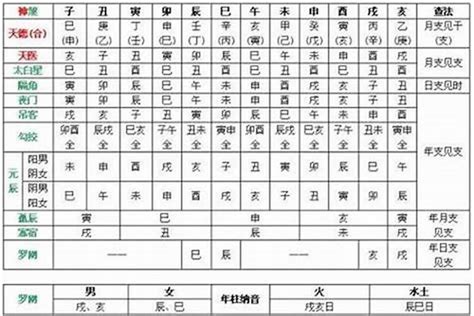 甲木乙木丙火丁火怎麼算|第17課十天干顏色、陰陽、五行方位、屬性、轉換關係等（珍藏。